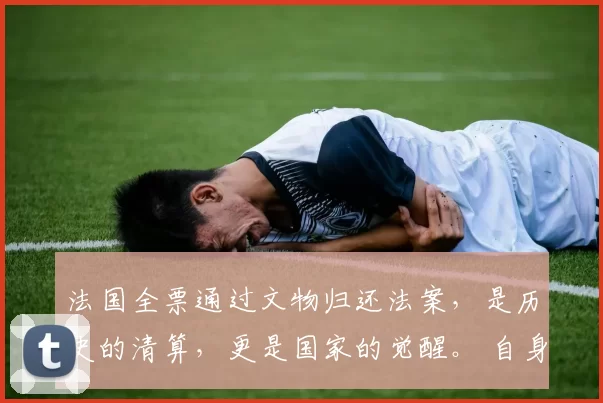 法国全票通过文物归还法案，是历史的清算，更是国家的觉醒。 自身的强大，是对过去错误最好的纠正，为未来铺就正道。你同意吗？