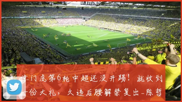 津门虎第6轮中超还没开踢！就收到一份大礼，久违后腰解禁复出_陈哲宣_比赛_王秋明