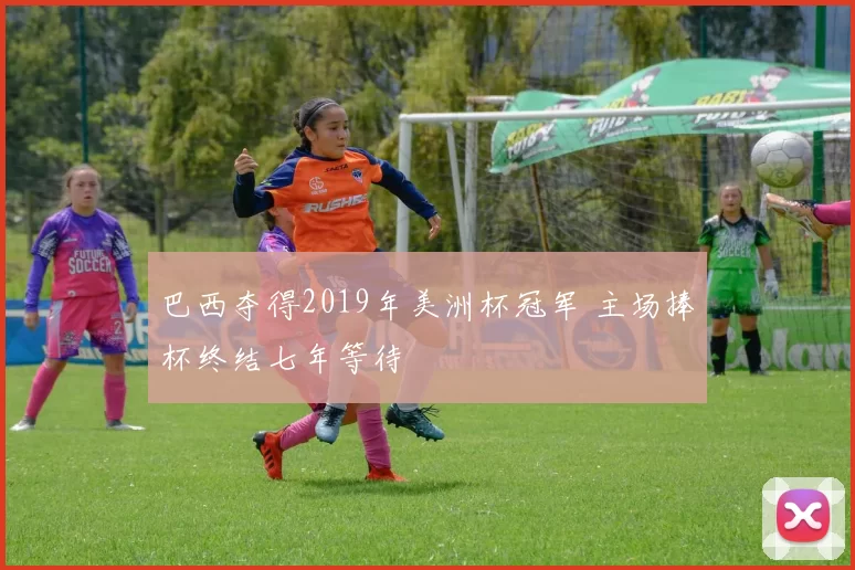 巴西夺得2019年美洲杯冠军 主场捧杯终结七年等待